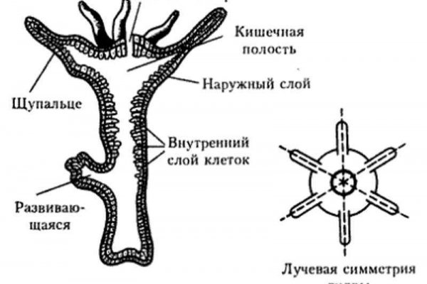 Сайты с наркотиками