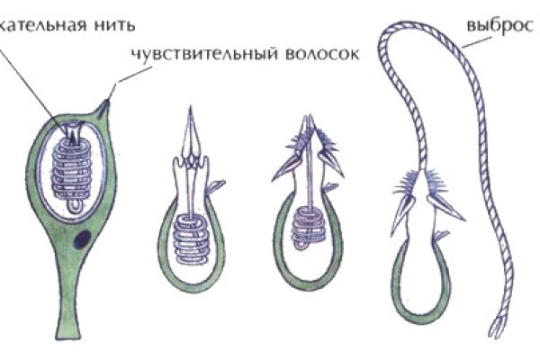 Где найти рабочую ссылку кракен